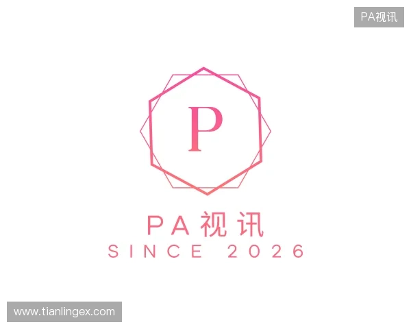 关于PA视讯集团